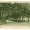 2412 - CACIULATA, Valcea, izvoarele - old postcard - used - 1926