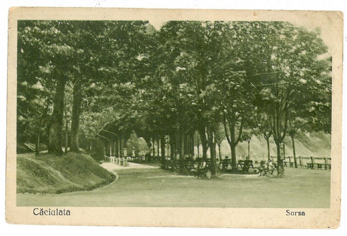 2412 - CACIULATA, Valcea, izvoarele - old postcard - used - 1926