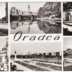 Carte postala multipla,mozaic circulata 1965 format mare RPR ORADEA