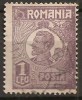 TIMBRE 106u, ROMANIA, 1920, FERDINAND BUST MIC, 1 LEU, EROARE, CULOARE AGLOMERATA PE LATURA DREAPTA, CURIOZITATE SPECTACULOASA, ERORI, ATIPICE, ECV.
