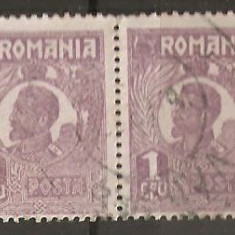 TIMBRE 106m, ROMANIA, 1920, FERDINAND BUST MIC, 1 LEU, EROARE, CLISEU INLOCUIT