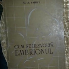 G. A. Smidt CUM SE DESVOLTA DEZVOLTA EMBRIONUL trad. din rusa 1953