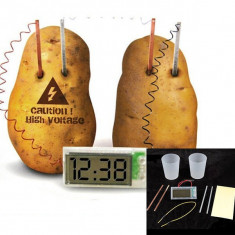 Ceas Potato clock Green Science Baterie ECO Ceas cartofi Ceas cartof Joc stiintific joc educativ ceasuri copii Ceas eco.MOTTO: CALITATE NU CANTITATE! foto