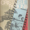 (C5609) CRISTALELE PASIUNII DE EMANUEL FANTANEANU, EDITURA ALBATROS, 1988