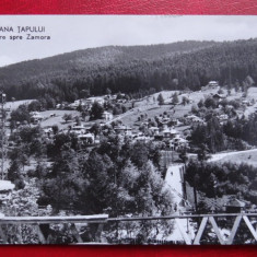 Carte Postala - RPR - Alb Negru - Poiana Tapului - Vedere spre Zamora