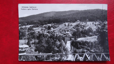 Carte Postala - RPR - Alb Negru - Poiana Tapului - Vedere spre Zamora foto