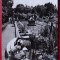 Carte Postala - RPR - Alb Negru - Cluj - Gradina Botanica
