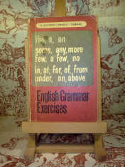 D. Chitoran - English grammar exercises foto