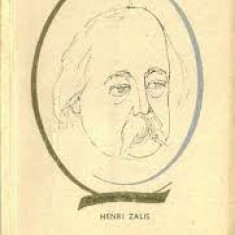 Henri Zalis - Gustave Flaubert