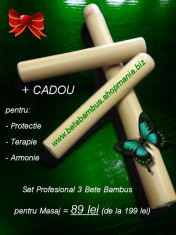 Set Profesional 3 Bete Bambus pentru Masaj (60 cm + 20 cm + 20 cm) + CADOU foto
