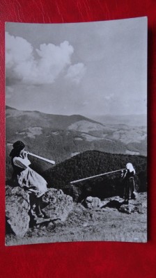 Carte Postala - RPR - Alb Negru - Muntii Apuseni - Pe muntele Gaina foto