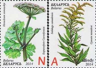 BELARUS 2014, Flora, serie neuzata, MNH