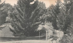 CARTE POSTALA BAILE GOVORA Intrarea in parc Necirculata