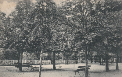 CARTE POSTALA BAILE GOVORA Terasa Circulata 1929, lipsa timbrul foto