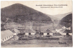 Surduc-Szurdok-Jibou Zalau Salaj,cladirile societatii pe actiuni de minerit carbune Szalonnapatak-Solona,aprox 1915,circulata prin 1920 foto