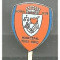 Insigna fotbal FCM Tg.Mures 2012