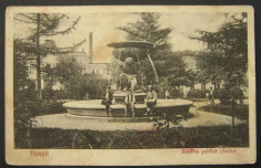Ploiesti - Gradina publica (veche), circulata 1935 foto