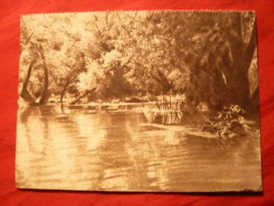 Ilustrata- In Balta Brailei , interbelica foto