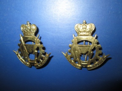 Set 2 Insigne militare rare- British India Pungnantes Adjuvo, metal aurit. foto