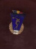 INSIGNA SPARTACHIADA REPUBLICANA 1964, Romania de la 1950