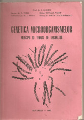 (C5643) GENETICA MICROORGANISMELOR. PRINCIPII SI TEHNICI DE LABORATOR DE I. ANGHEL , N. TOMA, I. MOISA, TATIANA VASSU SI DOINA CARCIUMARESCU, 1985 foto