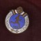 INSIGNA SPARTACHIADA TINERETULUI 1956