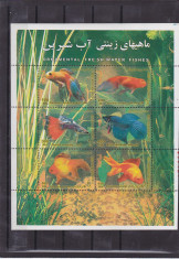 Fauna ,pesti exotici ,2004 ,Iran. foto
