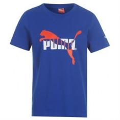 tricou puma barbati foto