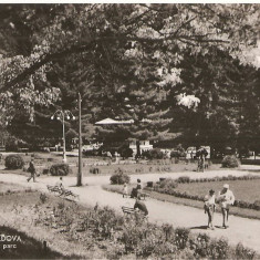 CPI (B4560) SLANIC MOLDOVA, VEDERE DIN PARC, CIRCULATA, 29.3.1960, STAMPILE, TIMBRU