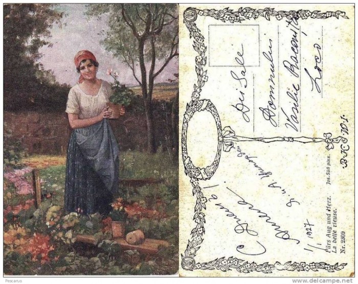 Ilustrator- picturi ,tema femei