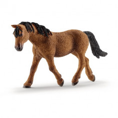 Figurina Schleich - Iapa Bashkir Curly - 13780 foto