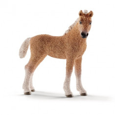 Figurina Schleich - Manz Bashkir Curly - 13781 foto