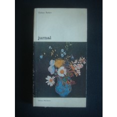 ODILON REDON - JURNAL