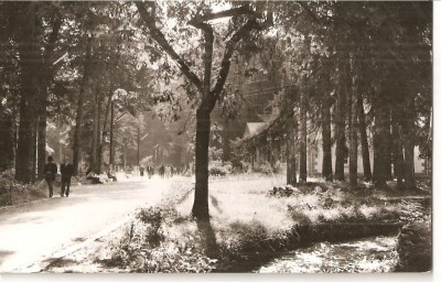 CPI (B4545) BAILE MONEASA. VEDERE DIN PARC, EDITURA MERIDIANE, CIRCULATA, 22.7.1966, STAMPILE, TIMBRU foto