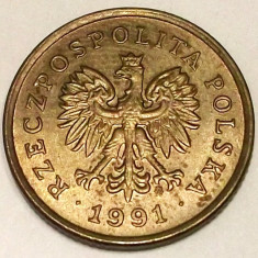 G7. POLONIA 5 GROSZY 1991, 2.59 g., Brass, 19.5 mm, XF **