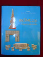 Daniel Patriarhul Bisericii Ortodoxe Romane - Brancusi. Sculptor Crestin Ortodox - 193675 foto