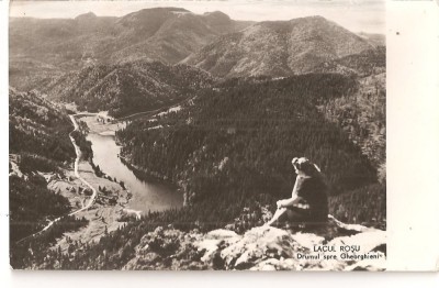 CPI (B4542) LACUL ROSU. DRUMUL SPRE GHEORGHIENI, CIRCULATA, , STAMPILE, TIMBRU, RPR foto