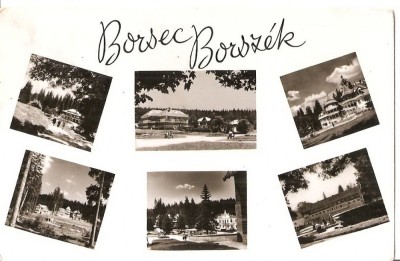 CPI (B4567) BORSEC. BORSZEC, MOZAIC, EDITURA MERIDIANE, CIRCULATA, 23.7.1962, STAMPILA, TIMBRU, RPR foto
