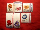 Serie- Flori din Gradinile Botanice 1971 Romania ,6 val.