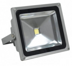 Proiector LED 50W Lumina Alba Rece foto