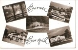 CPI (B4569) BORSEC. BORSZEC, MOZAIC, EDITURA MERIDIANE, CIRCULATA, RPR