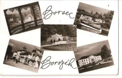 CPI (B4569) BORSEC. BORSZEC, MOZAIC, EDITURA MERIDIANE, CIRCULATA, RPR foto