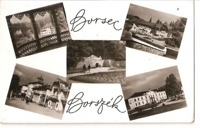 CPI (B4569) BORSEC. BORSZEC, MOZAIC, EDITURA MERIDIANE, CIRCULATA, RPR