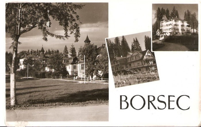 CPI (B4568) BORSEC. MOZAIC, EDITURA MERIDIANE, CIRCULATA, 15.12.1961, STAMPILE, TIMBRU, RPR
