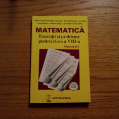 MATEMATICA Exerciti si Probleme Cl. a VIII -a Sem. I - A. Ciupitu - 2002, 235 p.