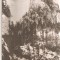 CPI (B4610) INTRARE IN CHEILE BICAZULUI, CIRCULATA, 3.7.1960, STAMPILA, TIMBRU