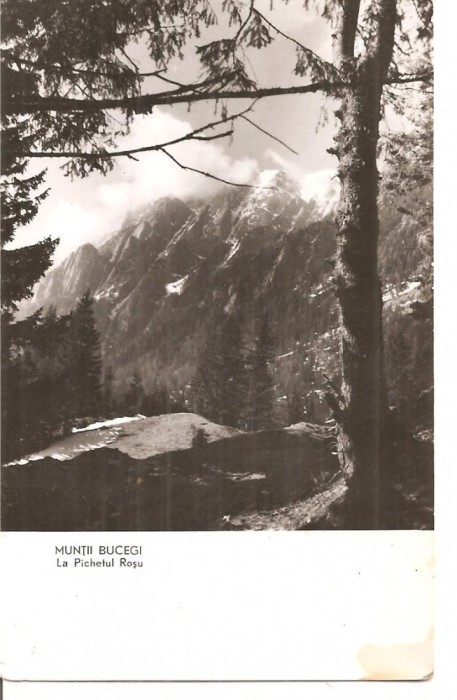 CPI (B4619) MUNTII BUCEGI. LA PICHETUL ROSU, CIRCULATA, 11.8.1959, STAMPILA, RPR