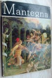 Cumpara ieftin ALEXANDRU BALACI - ANDREA MANTEGNA (ALBUM ARTA, 1980)