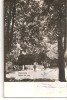 CPI (B4633) CACIULATA. VEDERE DIN PARC, CIRCULATA, 27.8.1959, STAMPILE, TIMBRU, Fotografie