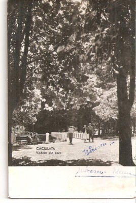 CPI (B4633) CACIULATA. VEDERE DIN PARC, CIRCULATA, 27.8.1959, STAMPILE, TIMBRU foto